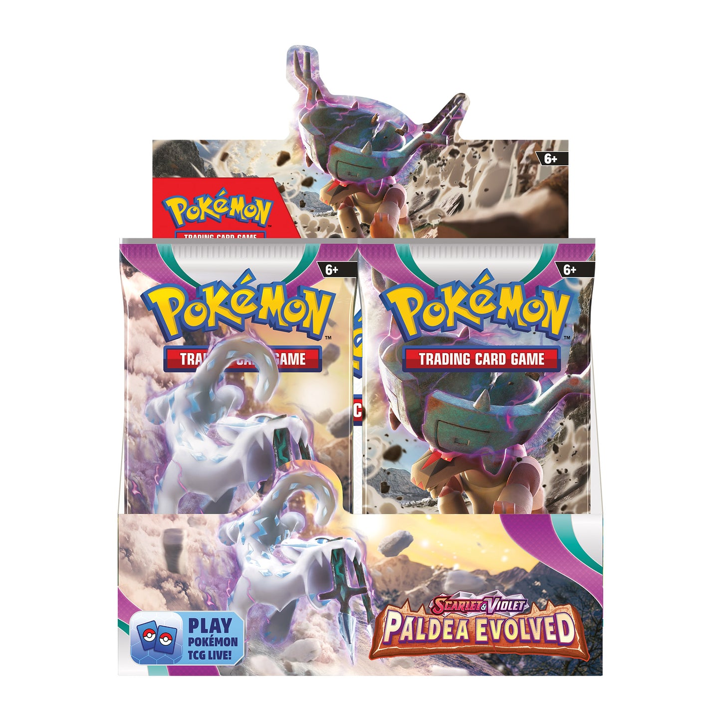 Paldea Evolved: Display (EN)