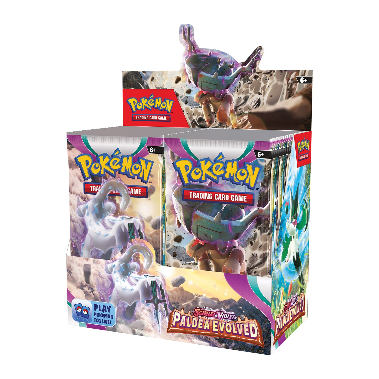 Paldea Evolved: Display (EN)