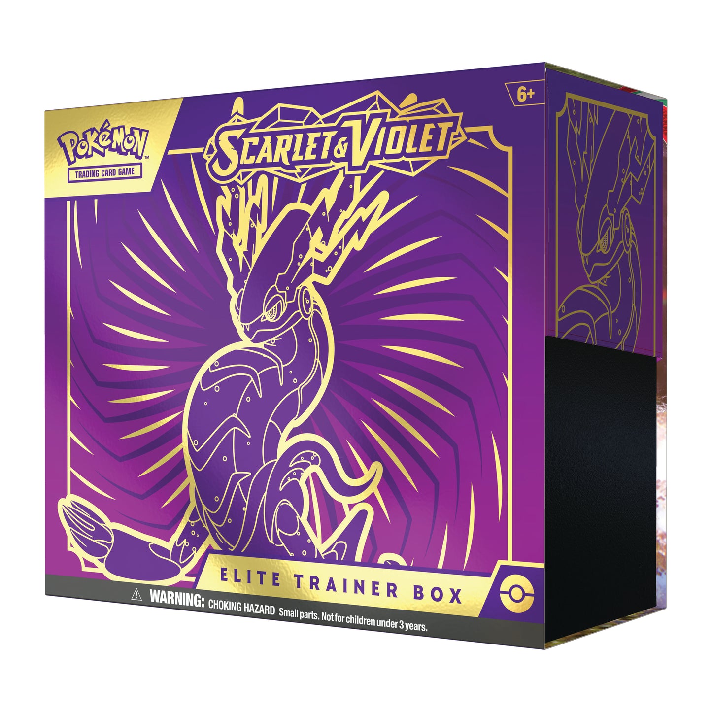 Scarlet & Violet: Elite Trainer Box (EN) - Miraidon